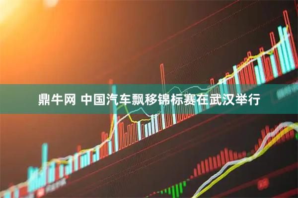 鼎牛网 中国汽车飘移锦标赛在武汉举行