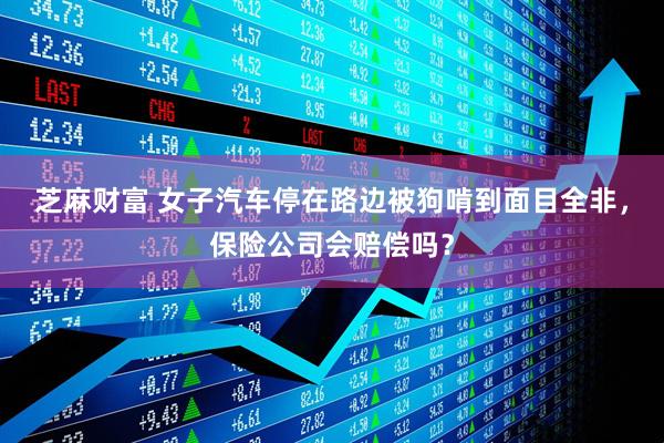 芝麻财富 女子汽车停在路边被狗啃到面目全非，保险公司会赔偿吗？