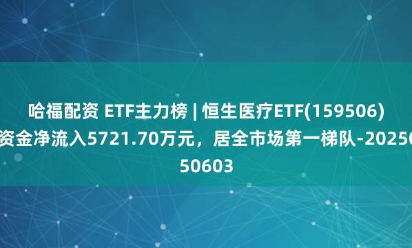 哈福配资 ETF主力榜 | 恒生医疗ETF(159506)主力资金净流入5721.70万元，居全市场第一梯队-20250603
