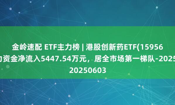 金岭速配 ETF主力榜 | 港股创新药ETF(159567)主力资金净流入5447.54万元，居全市场第一梯队-20250603